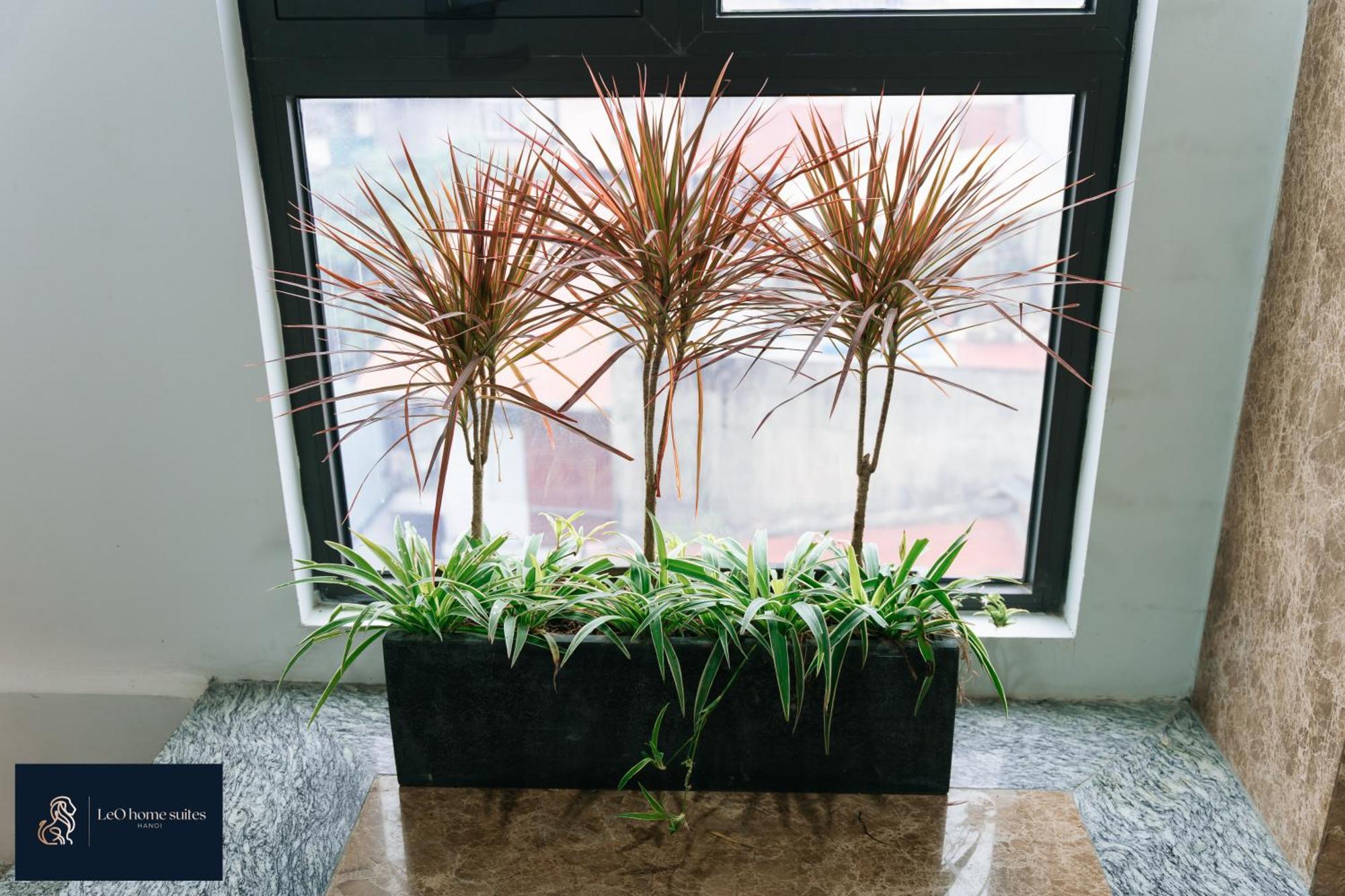 Home Suites -Natural Light -Projector -Spacious - 2Br Incenter Hanoi Bagian luar foto