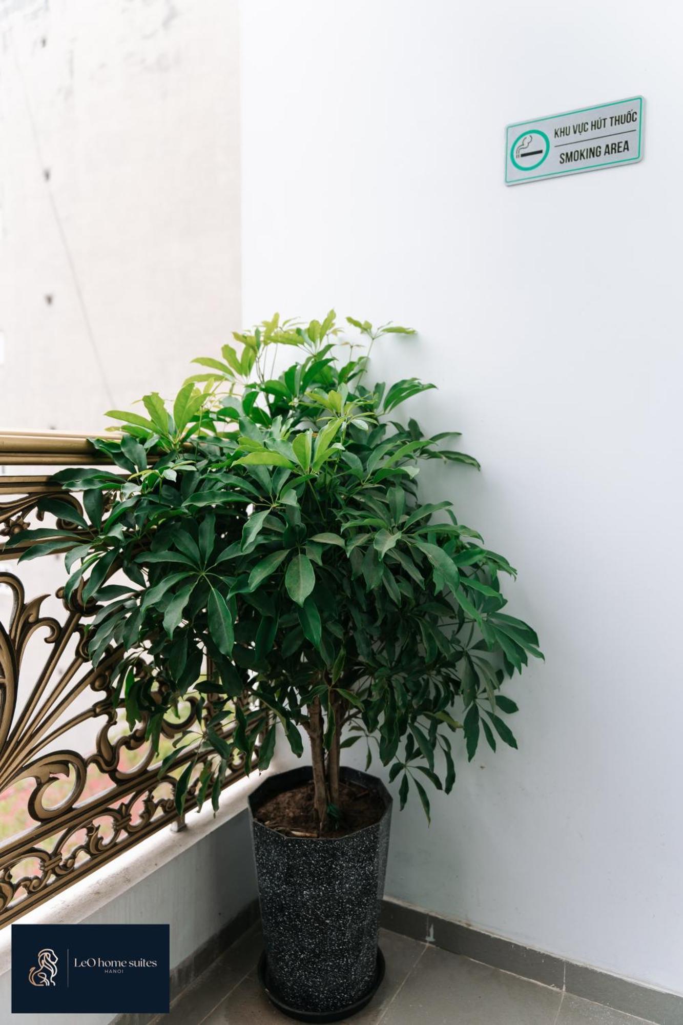Home Suites -Natural Light -Projector -Spacious - 2Br Incenter Hanoi Bagian luar foto